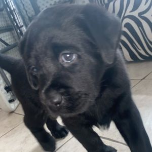 Meet your Posher, Kyle